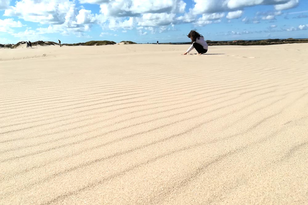 Le dune di Råbjerg Mile - skagen - danimarca