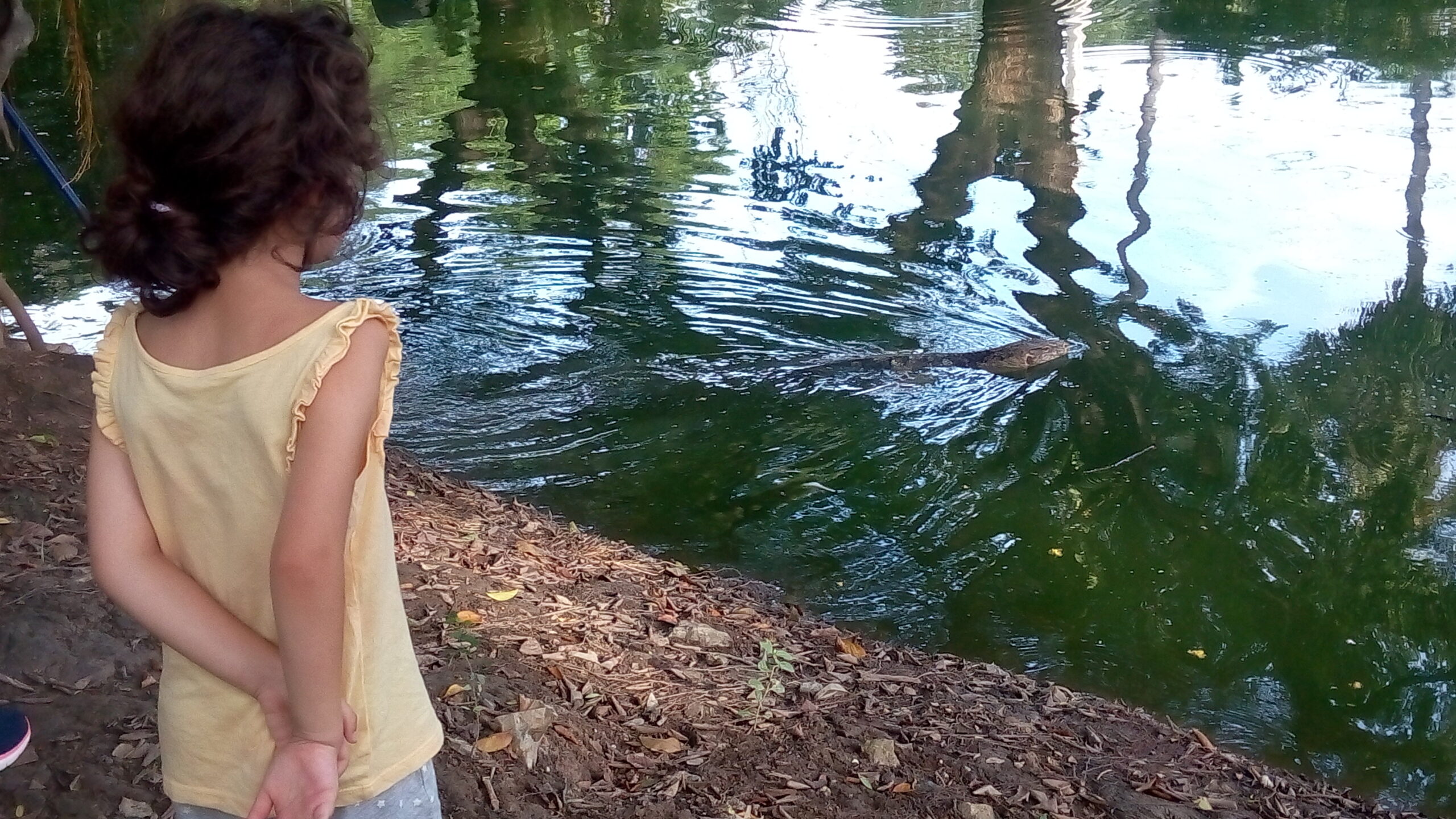 Irene che guarda i Varani al lumphini park a bangkok