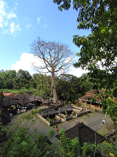 Tempio Goa gajah - Bali