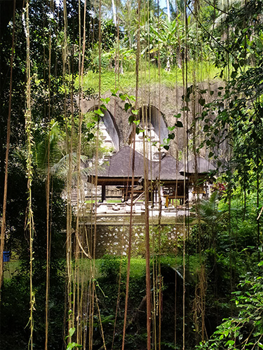 La giungla al gunung kawi - bali