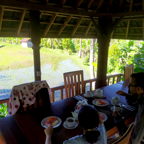 munduk - colazione sulle risaie - bali