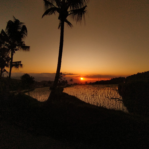 Munduk - tramonto sulle risaie - bali