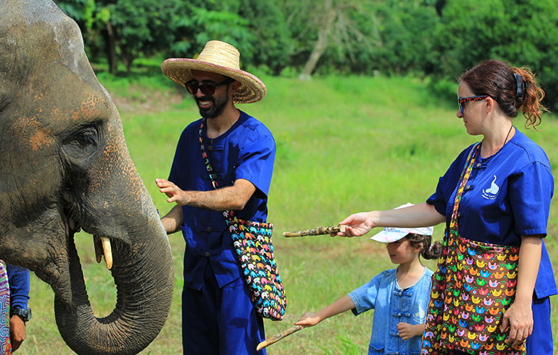 una giornata con gli elefanti al baan chang - thailandia