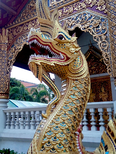 dragoni dorati all'ingresso del tempo - wat phra sing - chiang mai