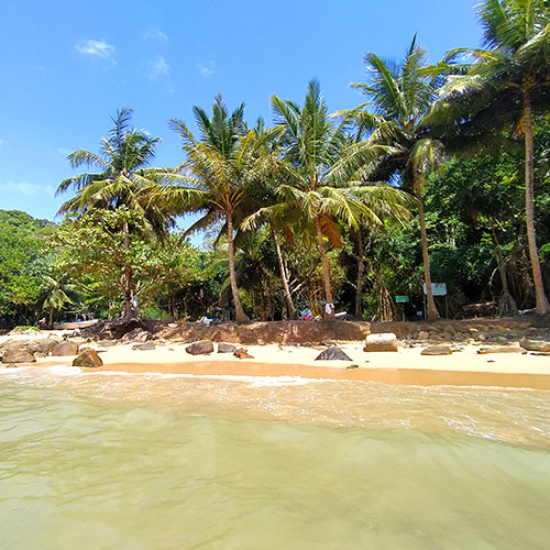 Jungle beach - galle - sri lanka