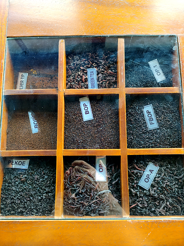 Selezione di Tea - Sri Lanka