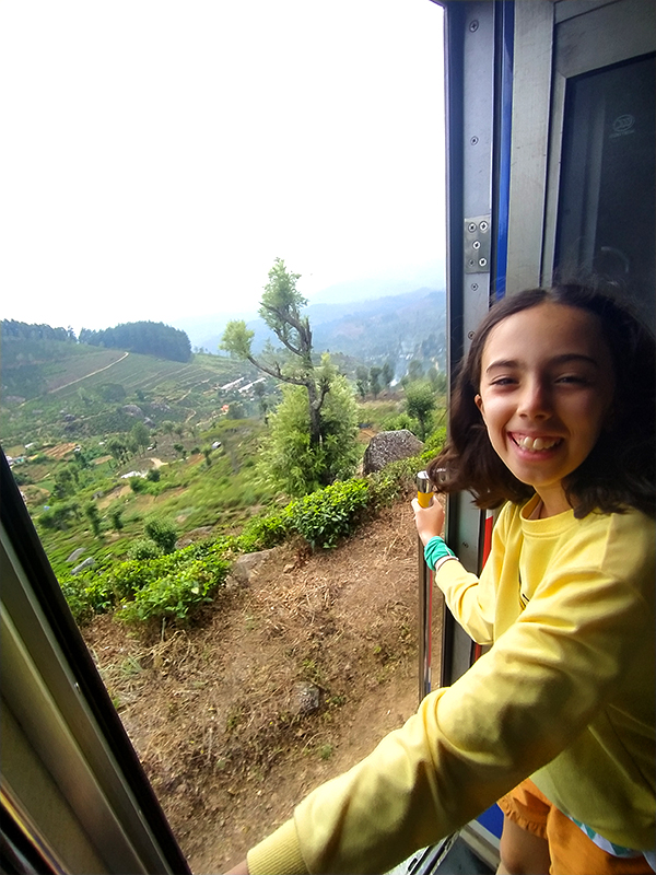 Pamorami dal treno da Ella a Nanuoya - Sri Lanka